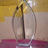 Unique Crystal Plaque By Excellence Awards International