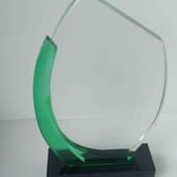 Green 204 Acrylic Plaque By Excellence Awards International By Excellence Awards International