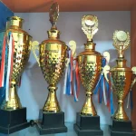 Trophy awards